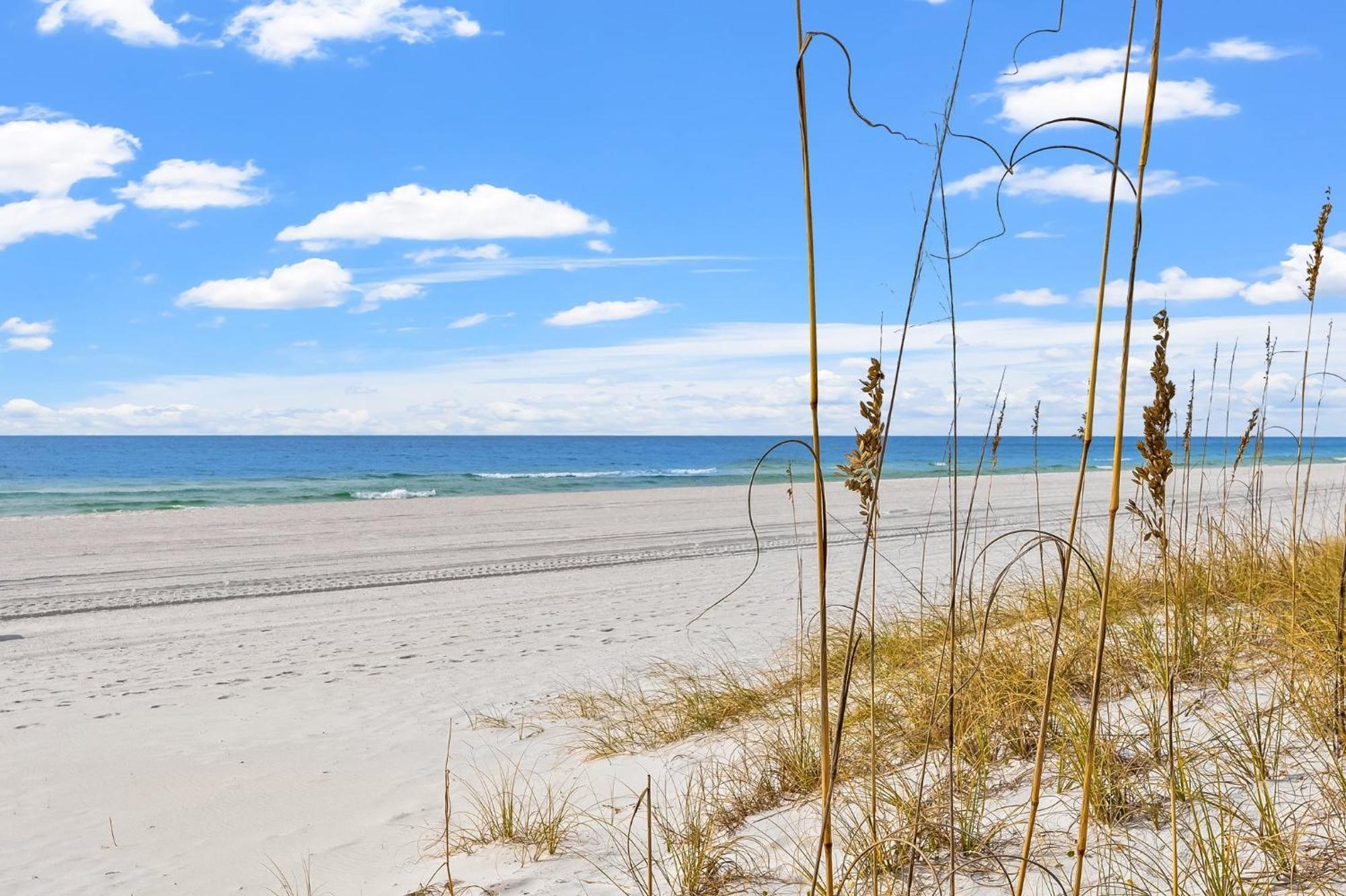 Appartamento Treasure Island 1710 Panama City Beach Esterno foto